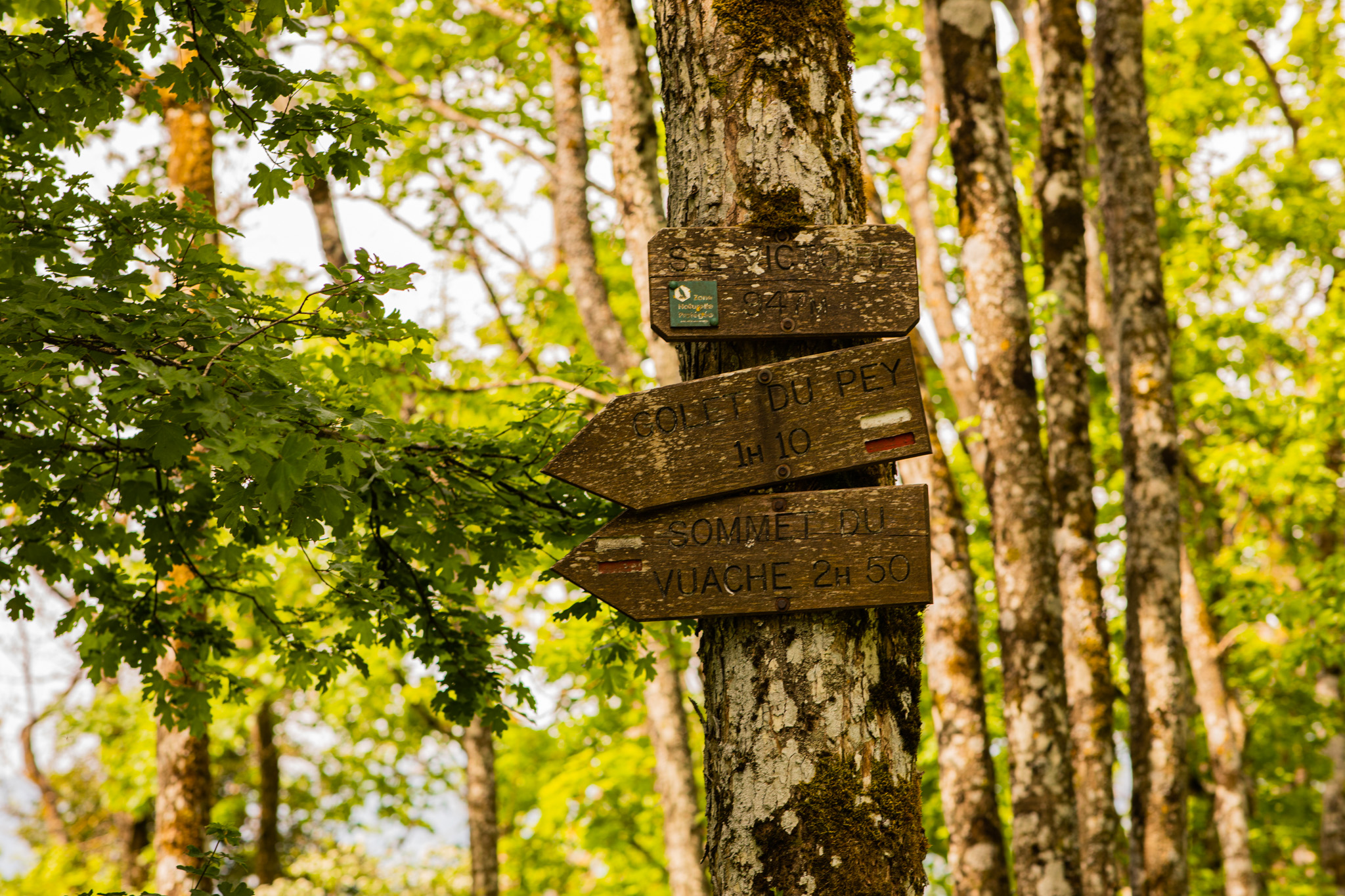 Trail Signs by MountainSkald on DeviantArt
