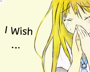 I wish ..