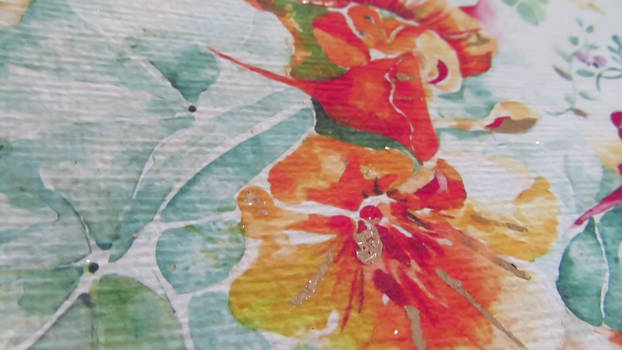 Short film of my gold leaf Nasturtium painting
