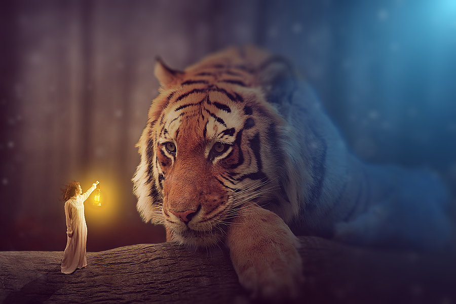 Big cat fantasy by protectanimalrights9 on DeviantArt
