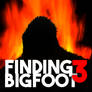 Finding Bigfoot 3 | Game Icon