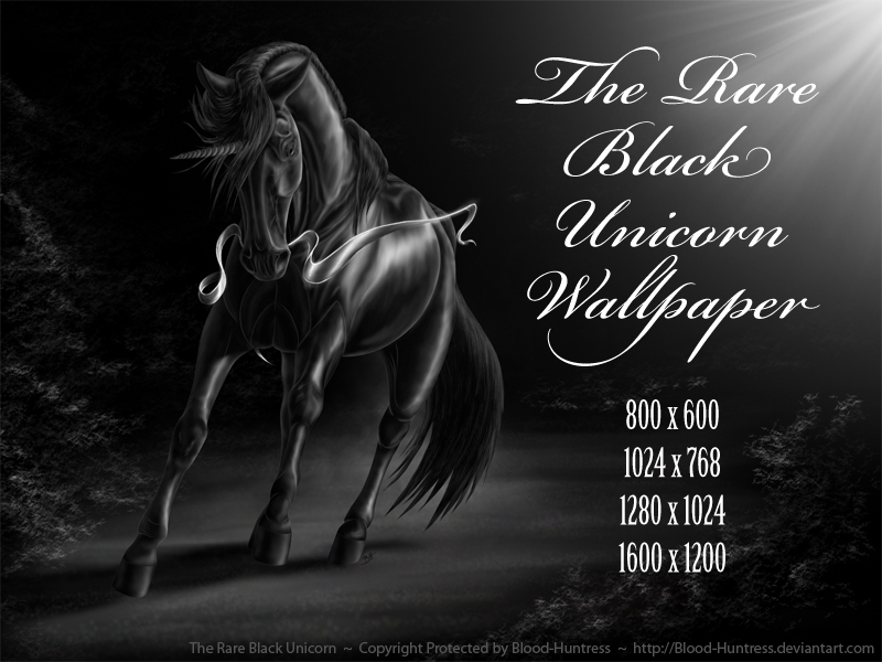 Download Gambar Wallpaper Black Unicorn Hd terbaru 2020