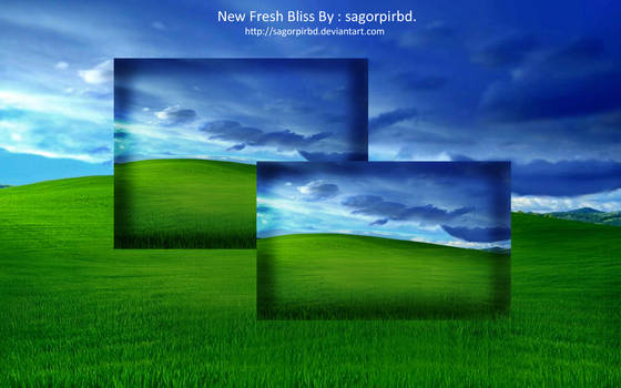 New Fresh Bliss