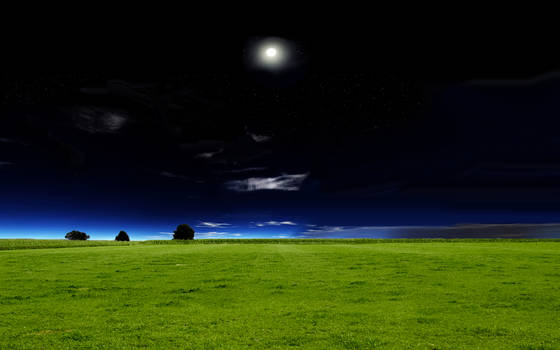 New Bliss Series_2 Night