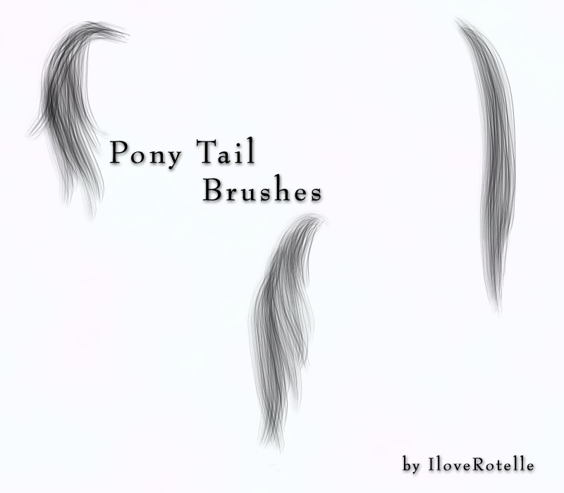 Pony Tail Brushes