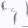 Pony Tail Brushes