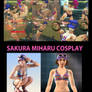Sakura Miharu Cosplay