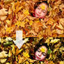 Photoshop Action 23
