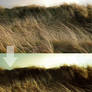 Photoshop Action 31