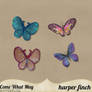 Come What May Butterflies