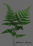 Fern_2_cutout by GoblinStock