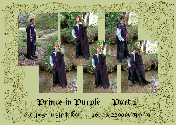 Prince Part 1_standing