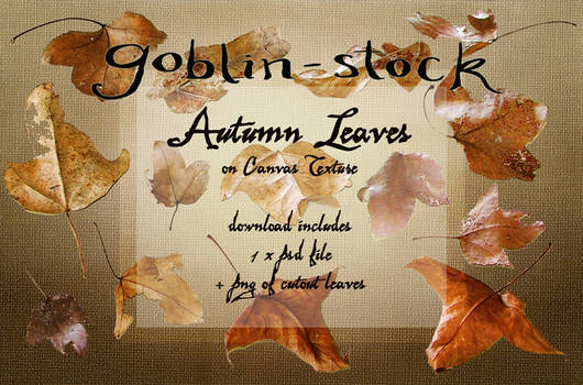 Autumn Leaves on Canvas_Pack