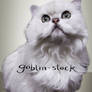 White Cat_cutout_2