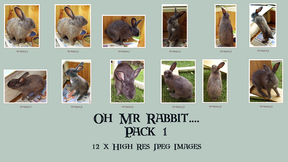 Oh Mr Rabbit_Pack 1