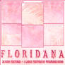 Floridana Icon Textures