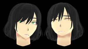 MMD Male face [DL]