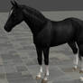 Horse Black 2 w. renamed bones
