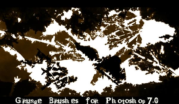 Grunge Brushes by d00bie