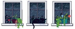 |F2U| Windows (Rain) [NEW]