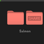 Salmon Folder Icon Big Sur Style