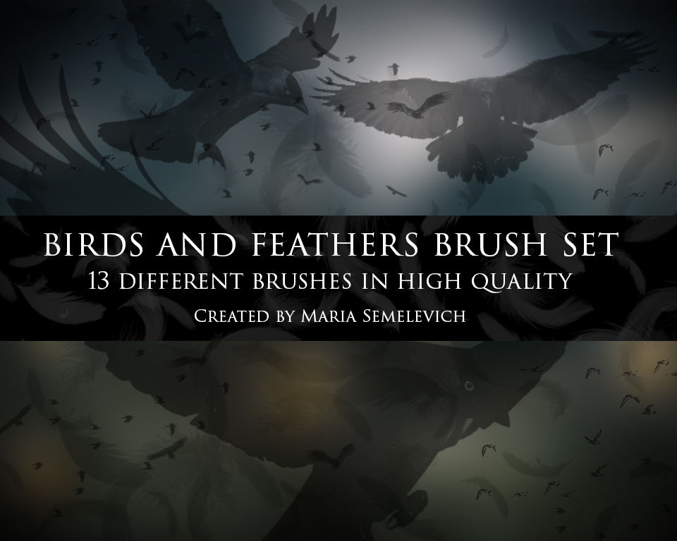 Birds and feather brush set