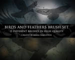 Birds and feather brush set