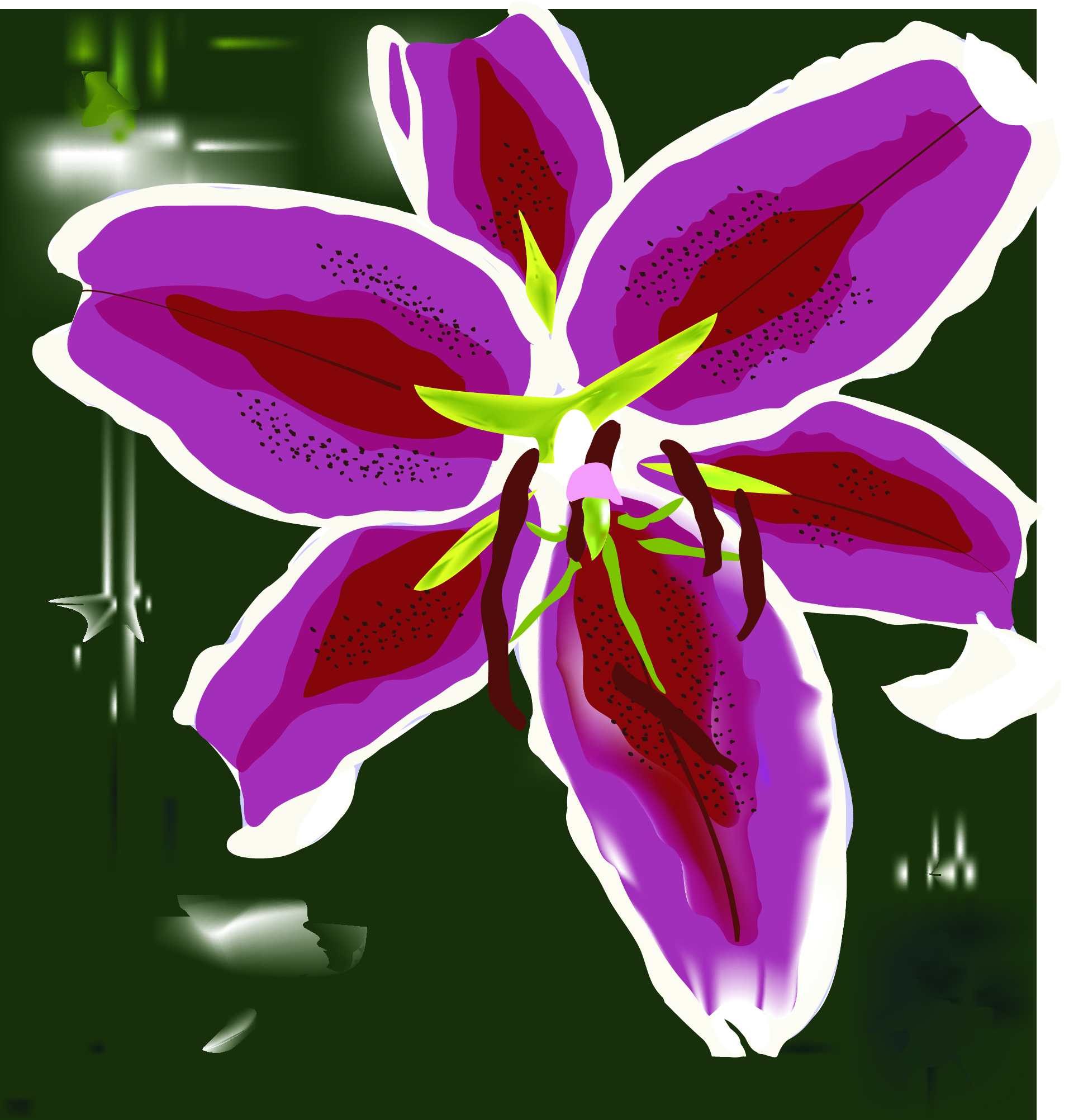 Lily Flower by zombfre93 on DeviantArt