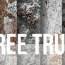 Tree Trunk Texture Set