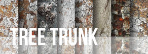 Tree Trunk Texture Set