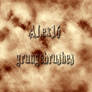 alex16 grunge brushes