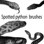 Spotted python brush set by xshadowxv