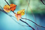 autumn by Lubitella