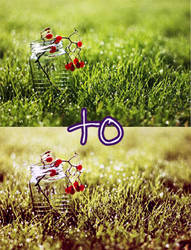 Photoshop action 12