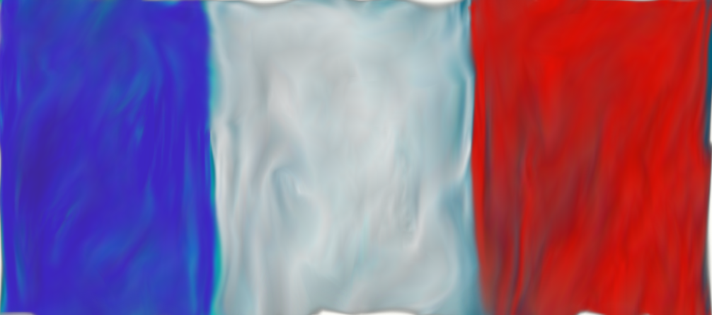 Le french flag.~