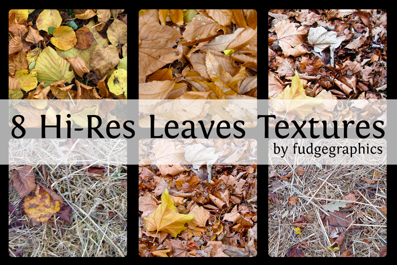 Hi-Res Leaves Textures