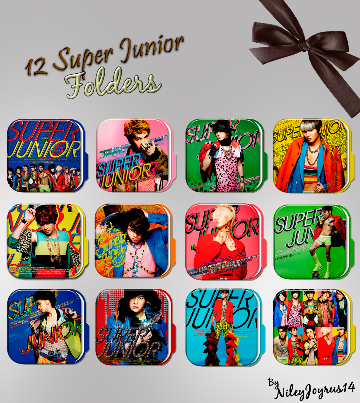 12 Super Junior Mr Simple Folders