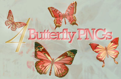 4 Butterfly PNGs
