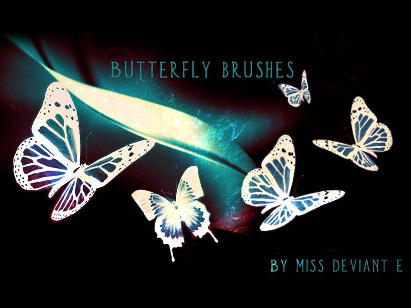 Butterfly brushes PS by Miss-deviantE on DeviantArt