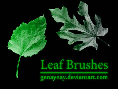 Leaf Photoshop Brushes