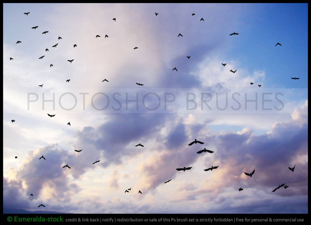 Ps Brushes: Flock of Crows Brush Set 2