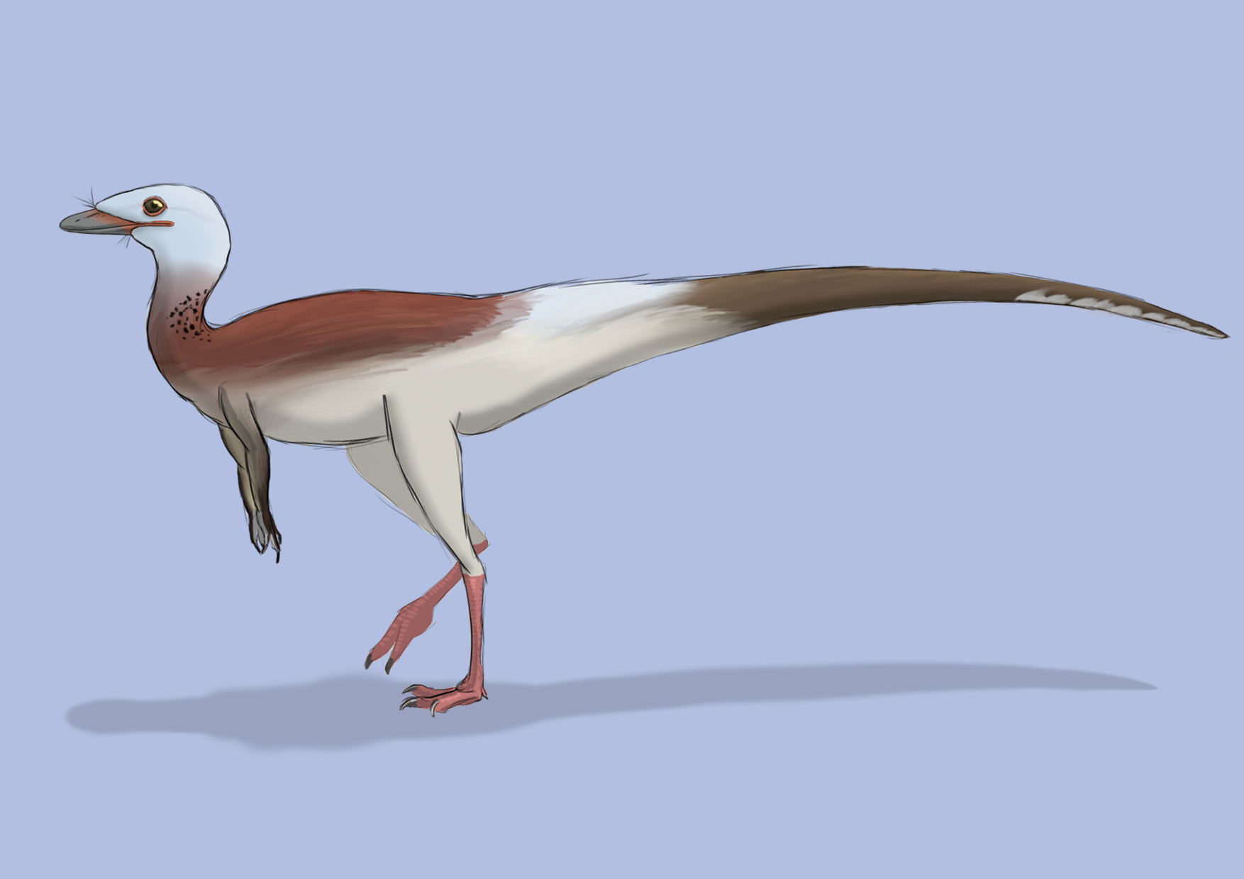 Royal reptile by Rainbowleo on DeviantArt