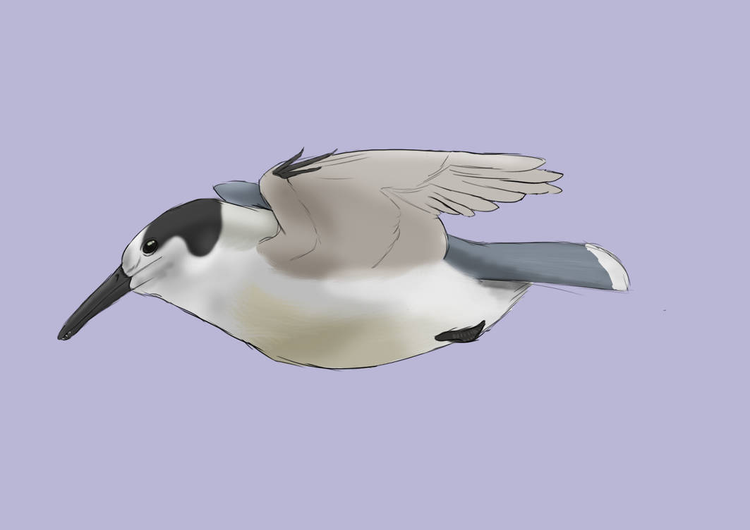 Longipteryx chaoyangensis by Rainbowleo on DeviantArt