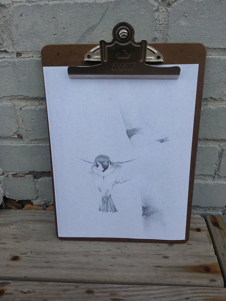 Flying Bird And Birch Tree Pencil Drawing By Snagzd On Deviantart