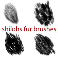 Shilohs Free Fur Brushes