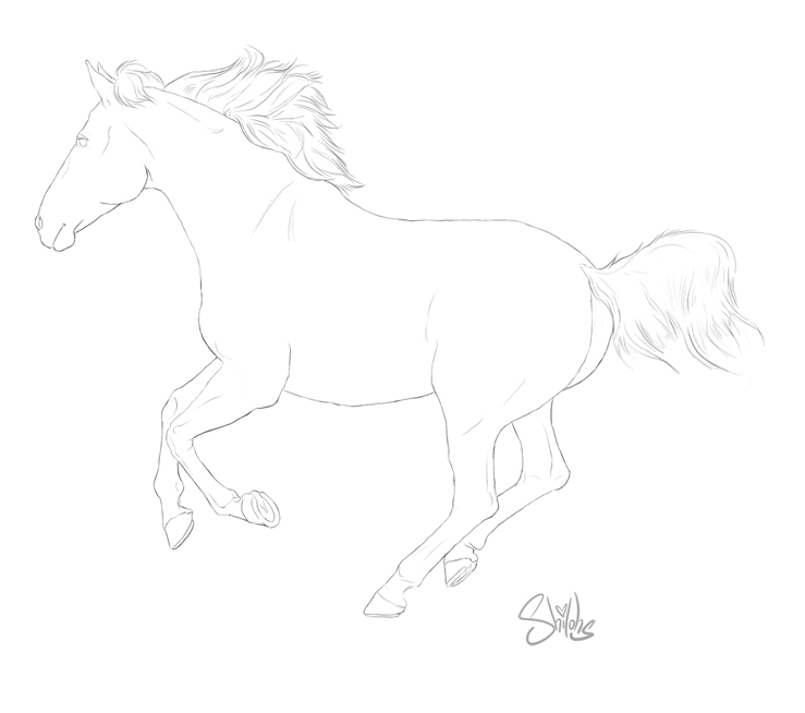 Stallion Mustang Lineart