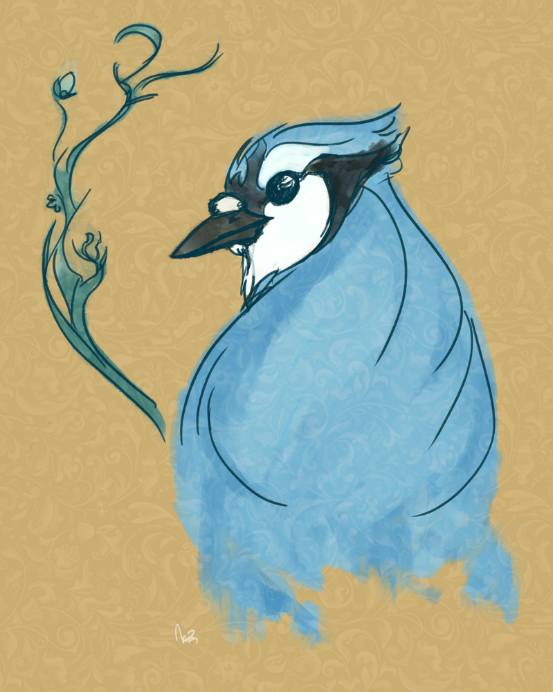 Bluejay by Actonawhim on DeviantArt