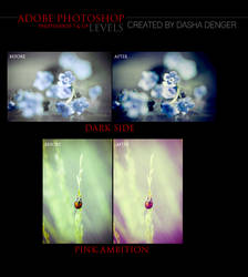 Adobe Photoshop Levels