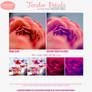 Tender Petals :: Photoshop Curves
