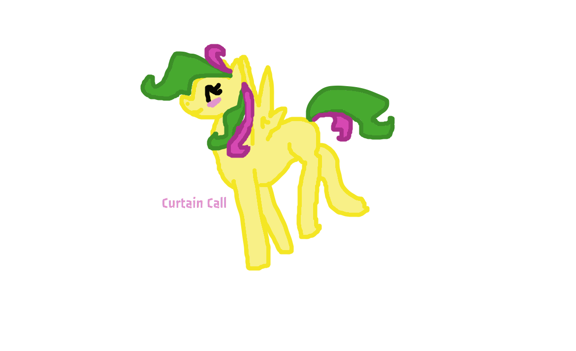 Costom Pony